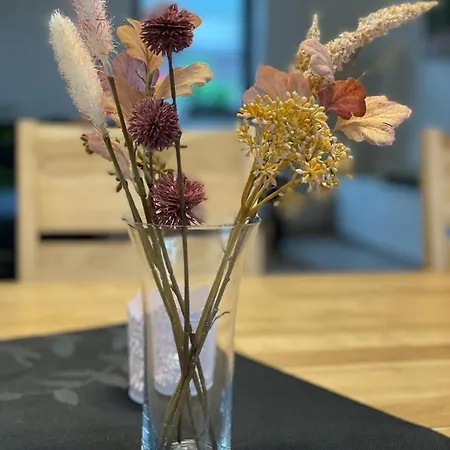 Sonnenhof * Ammelsdorf