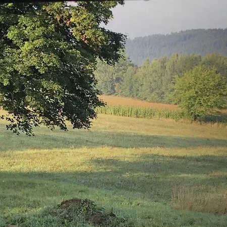 Apartmán Sonnenhof *